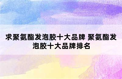 求聚氨酯发泡胶十大品牌 聚氨酯发泡胶十大品牌排名